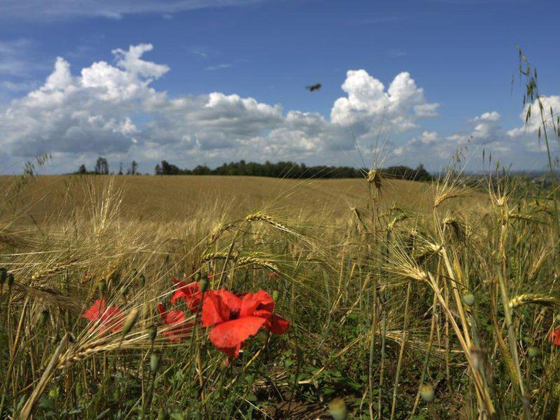 3FF96F90A1968669D18DEF280B0D683A