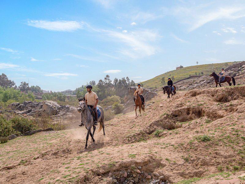 8932958723A4F241CEA6E9B969E591B6