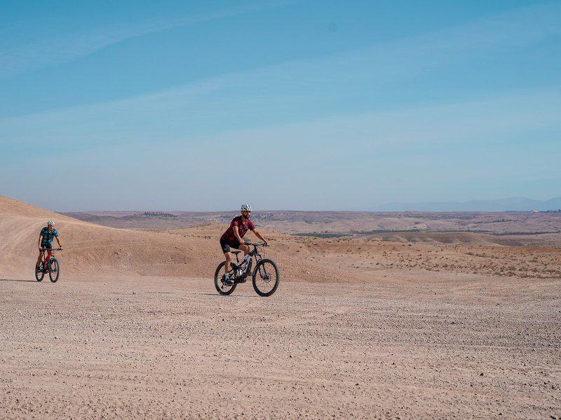 D586711ACE63FFB426B3B38A6B9C626D