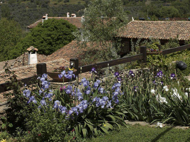 702E298F3C21E2788FC38E924159EF37