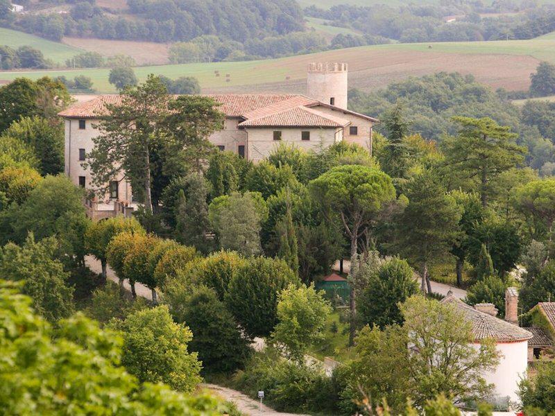 DF5510C2F27F92CCDAF7797E8809D45C