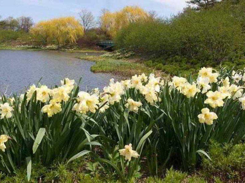 93D00B92B3CA37AD7CC160C37B0EAD1E