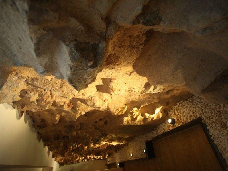 7E9409C7C4CC953BC4BCC46B06C29E3B