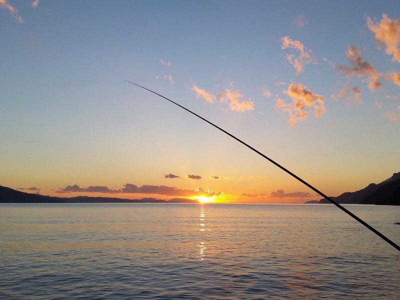 DB1687397C1B36BEE798CFB8F0E399FA