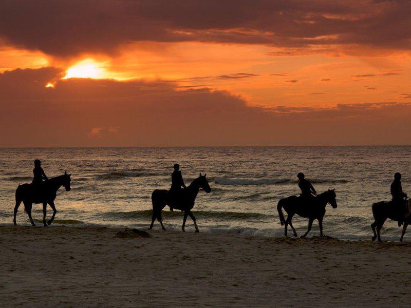 7A4354187ABF046A16EC374A18D7D0CE