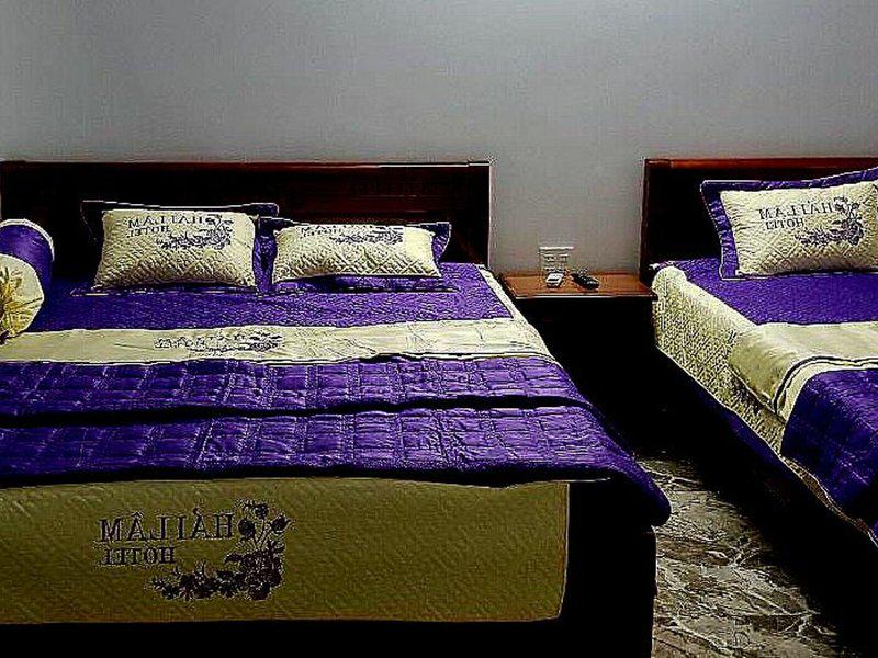 713A2391909F0F9FE57C1C61D4FC3DDA