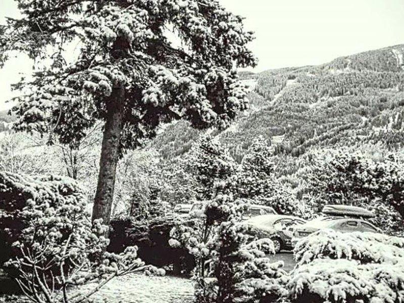 115F1FD15C44477B3B5F9B1DBADD7E56