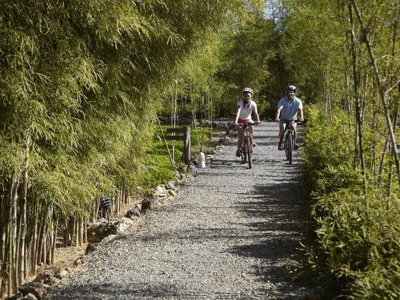 4D62D3CFDBC47D11CD0C566AF00095D9