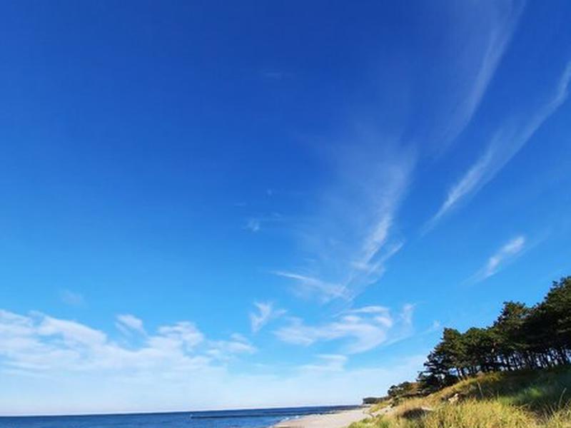 6F783064CAC92A758E8404E76648DEE8