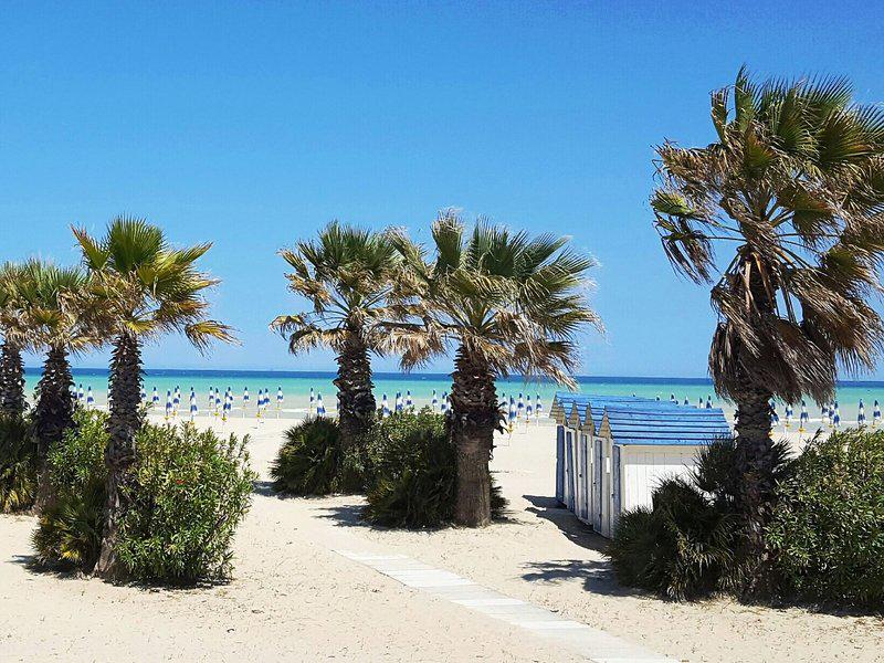 9125987C9BF978AD047BD00C2B09E33F