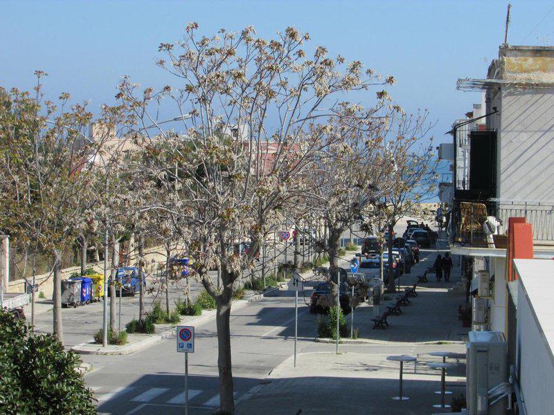 94422324392A06ED08C671DEC7E13BCF