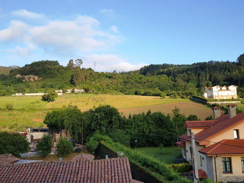 A9AEF1512AD9FF42BF2B1379356C1997