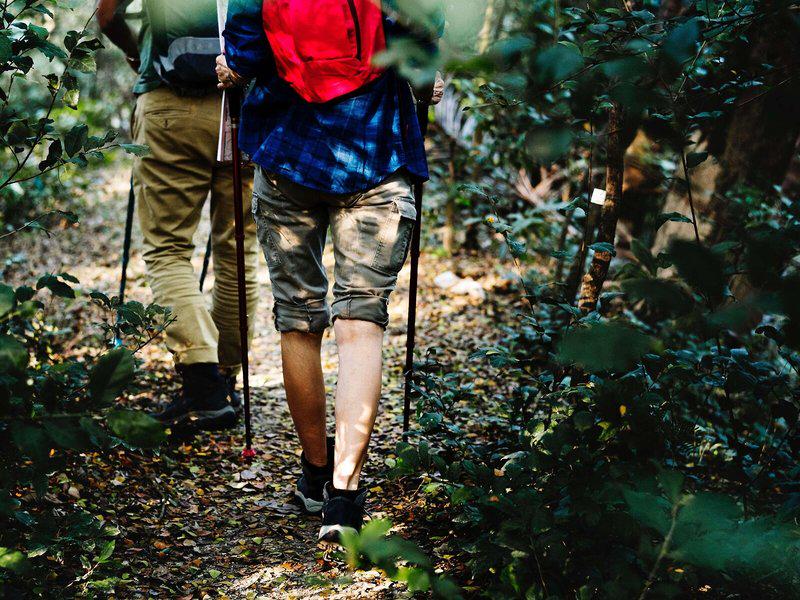 D24123B0DD608826AC96AC0BF03890F0