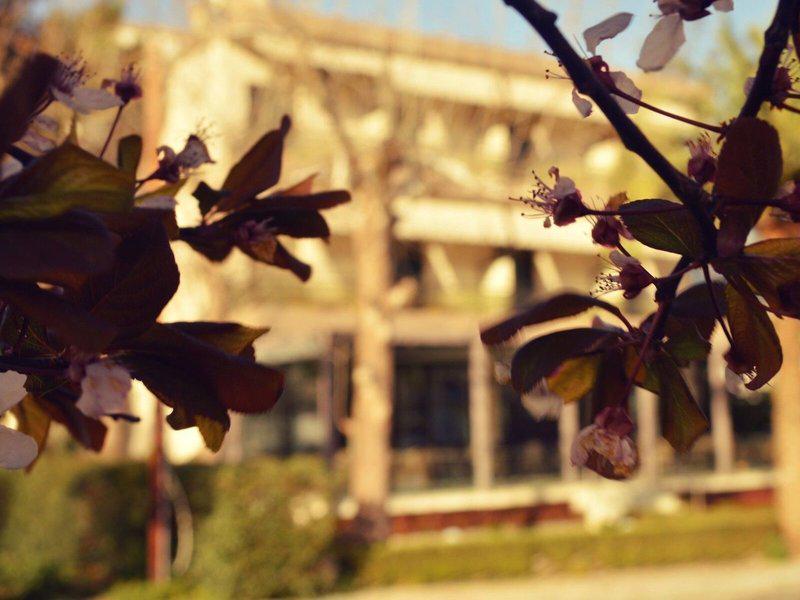 308EA3DE1D59D9C9B7E614A8D716956A