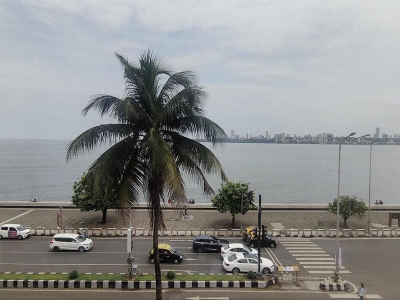 B9F4DE29D585075D52C1675D526938C8