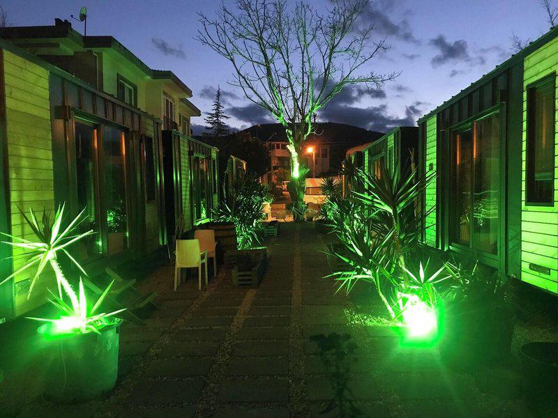 2183FB6B5D5E9AC6CC20F16AE69BB3C8