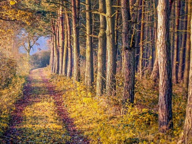 F476BD8AA96F85A3C124E136B3F23255