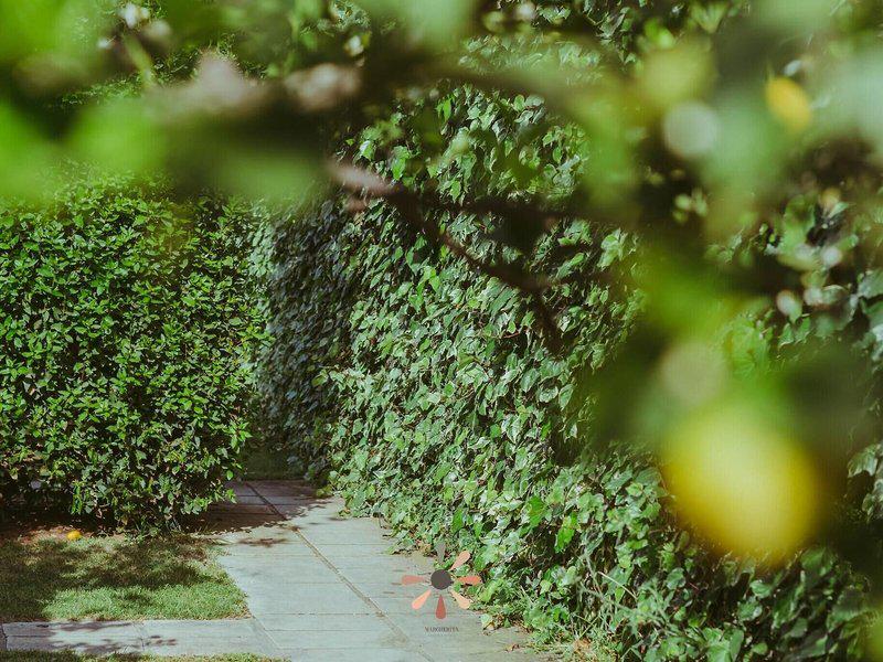 0C4C9320AB4206E91B05DE83A9A2A424