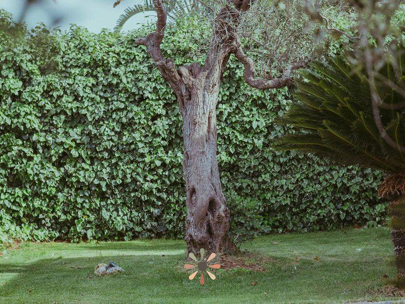 7231B5546EDD2DDBA9AA1C61B0BF4B3B