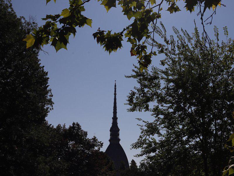 6A87416B8CAC8CDE8D63C2AE63E3389B