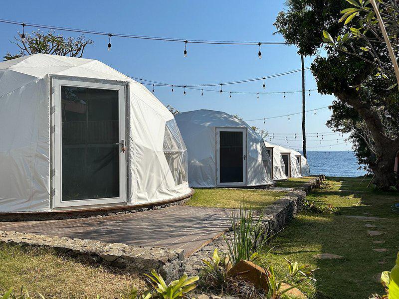 5D79A0492D26701E8E85650E19F69AD0