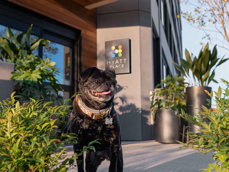 1F3CB063DDB31373CC7A81246FABF5C1