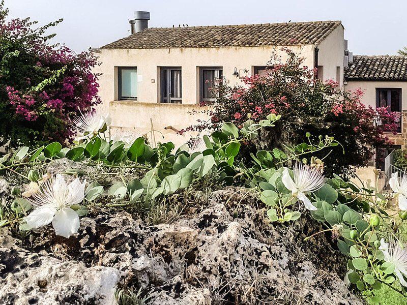 9CC53E50A9D4611EAECAAE4E461180BE