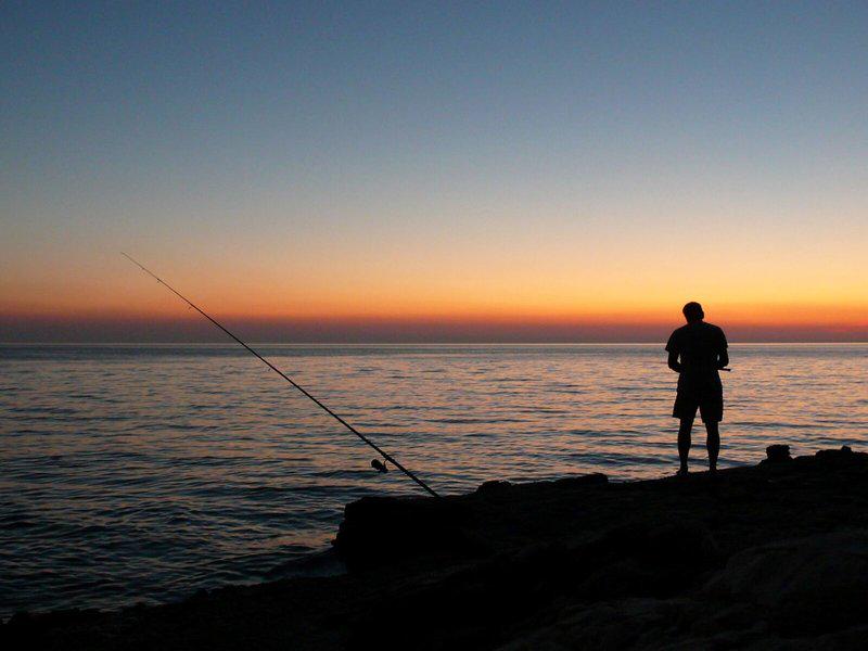 99305CFE3D2B38F7C1D4013DB8AD7100