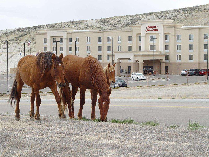 D04AD2183C05009CE8C1417E6DBA7F6D