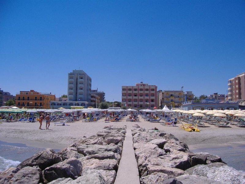 E11F5C5E7E37ABF031C3A2D46A3F4BAD