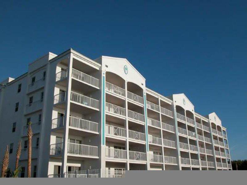 9ADA1388C1F0FA2D71C7AE88CDC06B2C