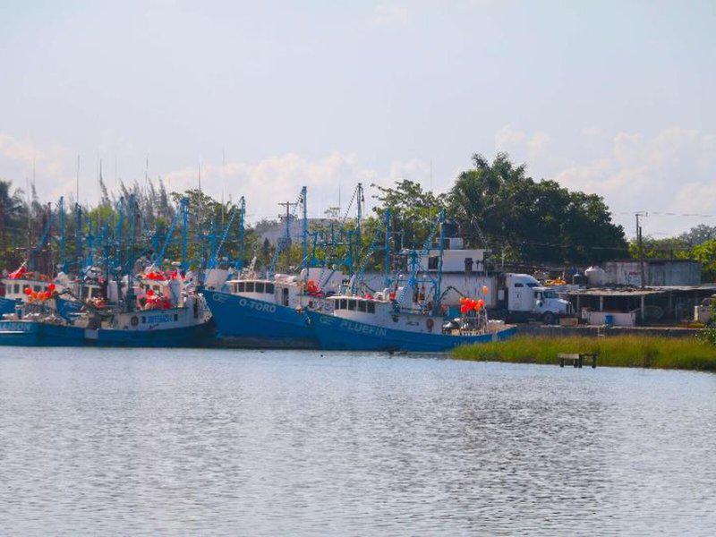 68F1B3B155D9EF9A385559CF60C9E227