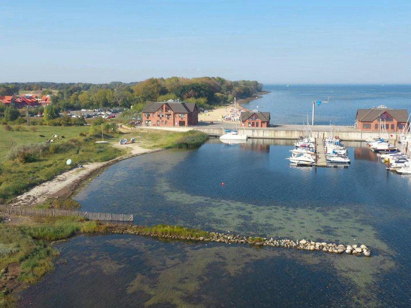 D1D32AF5F1C5D88354DBA6E39A3F08A9