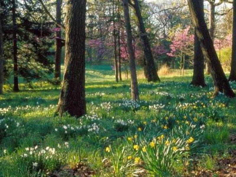 5AA808F6BD14CF351B5FECE1777400A0