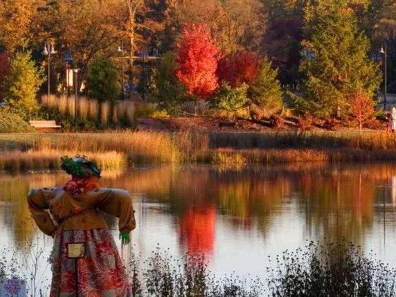 5A4BBD9480F9129BB9DFC512266E4077