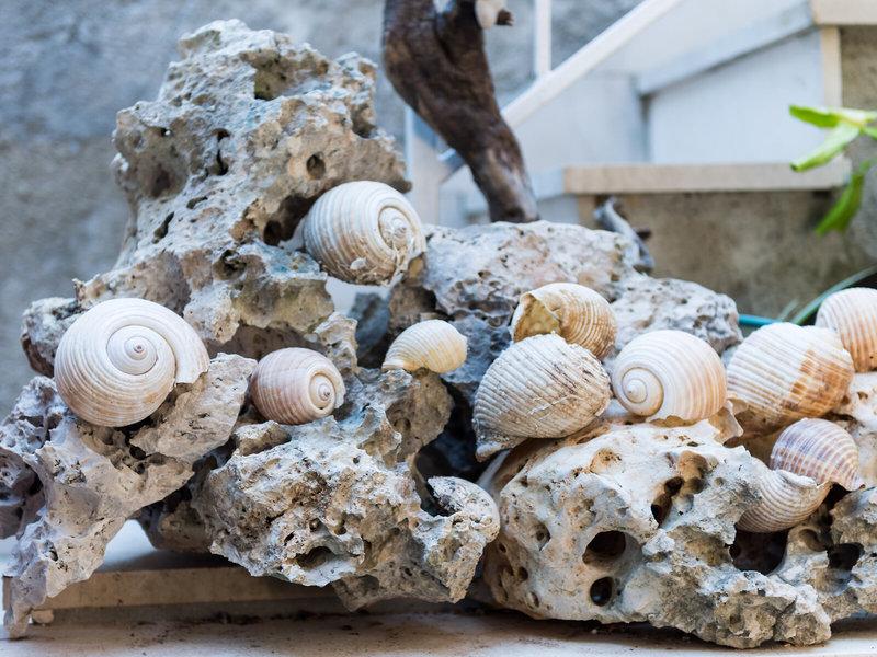 99D4B60FAF34487039E8E1AD2A137758