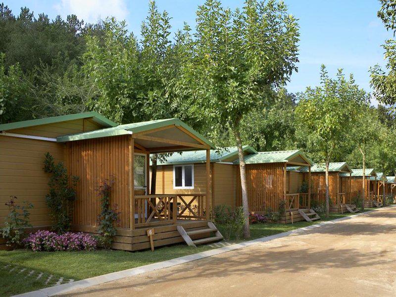 5D4889F9EF2DA886B0704FD3C00D56D6