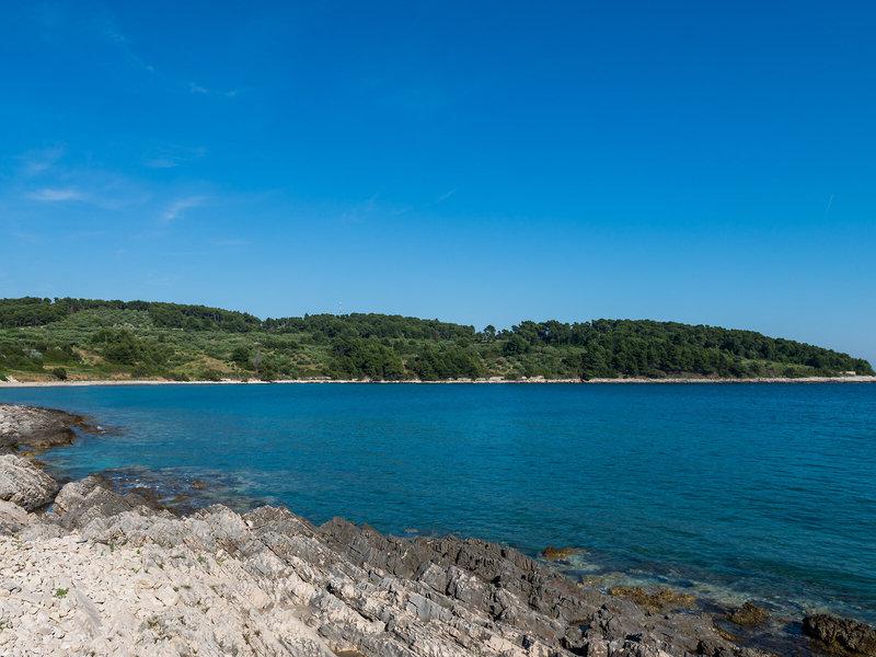 BF333B029371E41580F83D90CA7E78B3