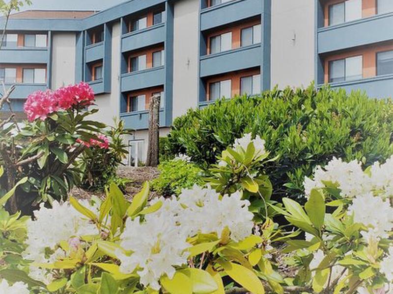 F10C74F178BDB2AEAAD35D9F1617C472