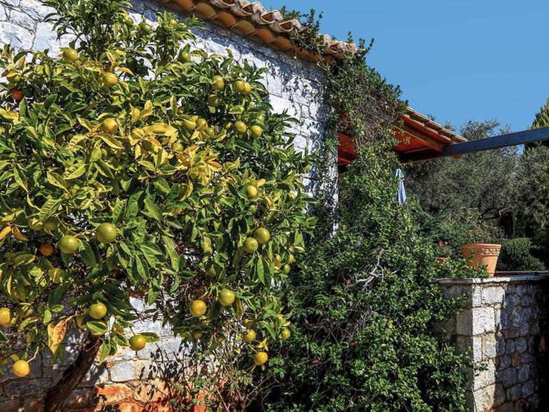 F13269D7444448492D3E3336628BC1ED