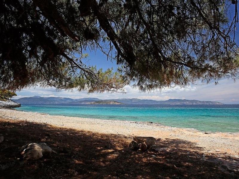 A4172088DC5EF77965DA8C12D3CF15FE