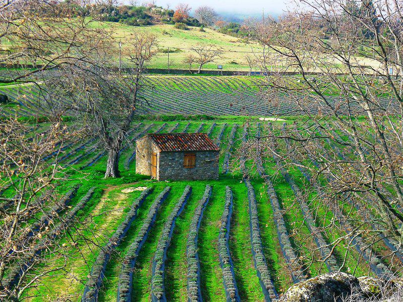 FCEE49E8C6F3E99FFF61F95F7207DF64