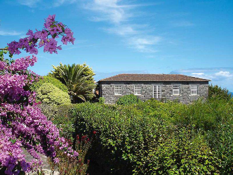 1F30A2BA65B4AA096F6785344E010D9C