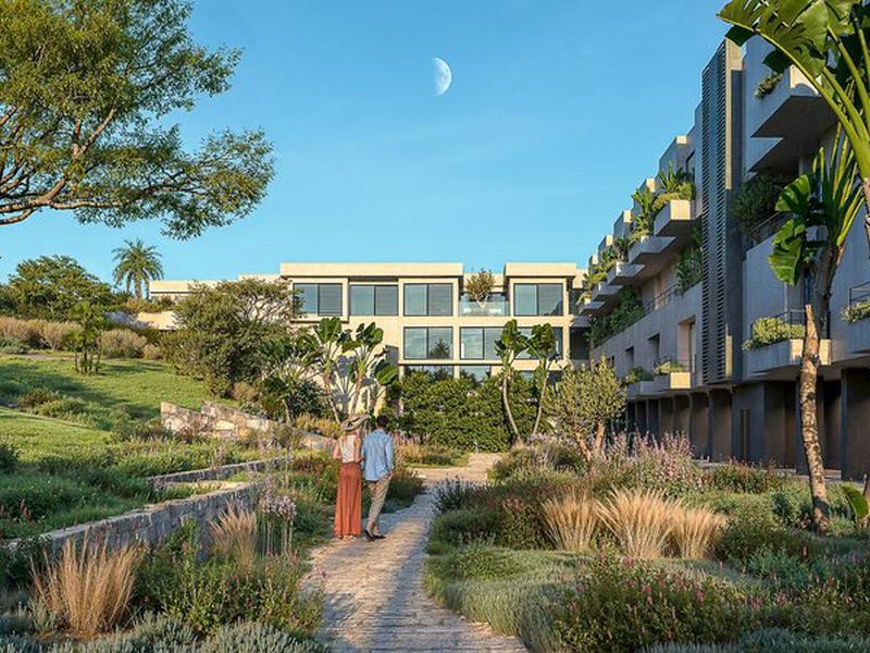 1ED19C00461DFC91FDC053A5B2229803