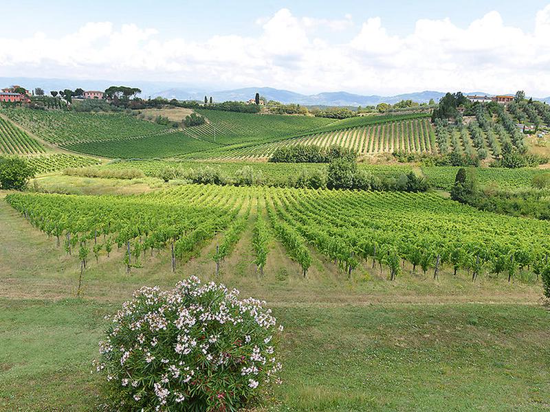 AD5A17CB8F7A2A426022E46F6F6B0355