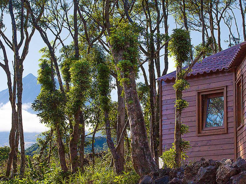 E2C5376E27504E46DAD3E2A3AE43A217