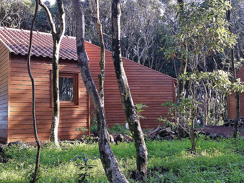 5D15B45F13EFB324BE0F98A7E47C1698