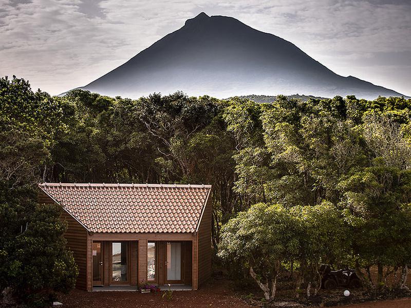 E638F4BB57C7F68E256F06349D80D313