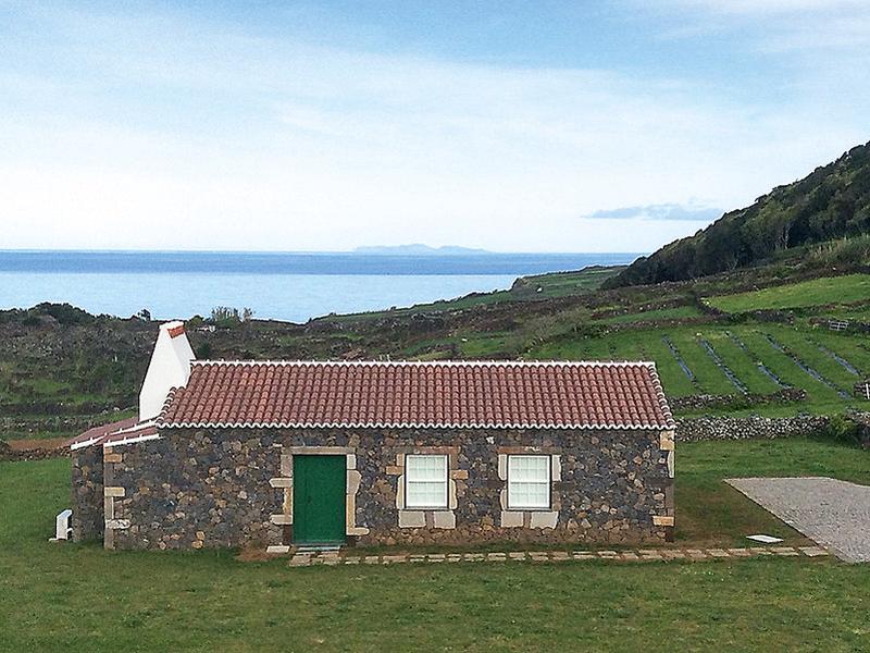 75C47D8DF8FF762B95C2E321815CD470