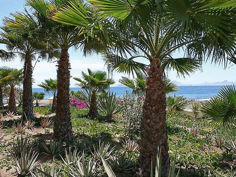 F64A16BF741DCAE89B39CE6CA0C684AA